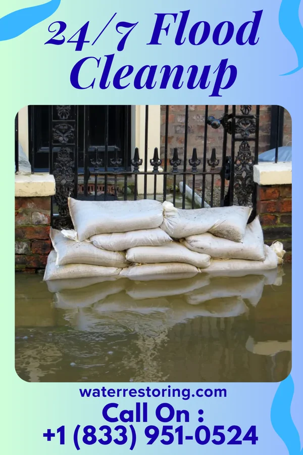 24/7 Flood Cleanup in Waverly, VA