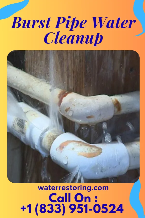 Burst Pipe Water Cleanup in Waverly, VA