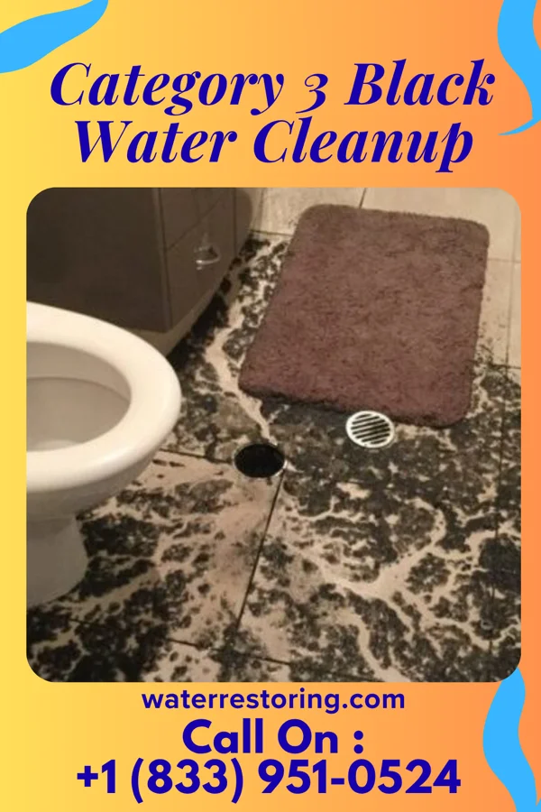 Category 3 Black Water Cleanup in Waverly, VA