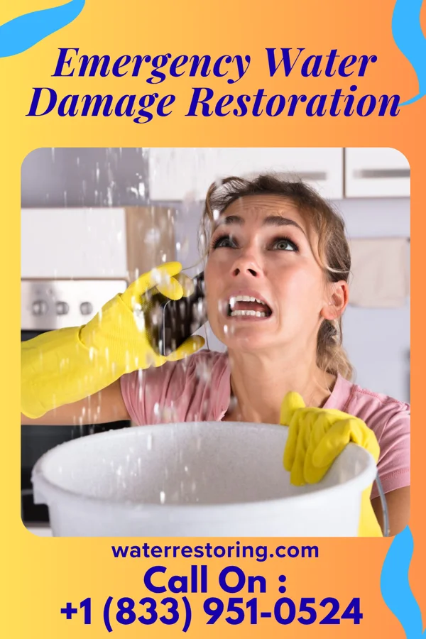 Emergency Water Damage Restoration in Waverly, VA