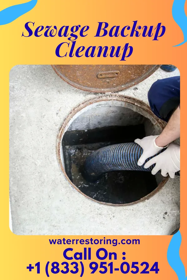 Sewage Backup Cleanup in Waverly, VA