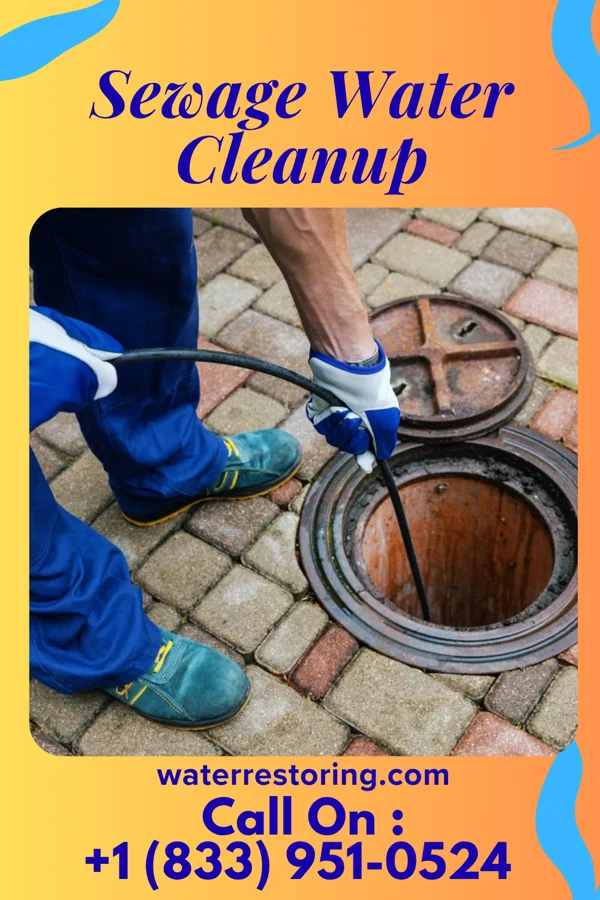 Sewage Water Cleanup in Waverly, VA
