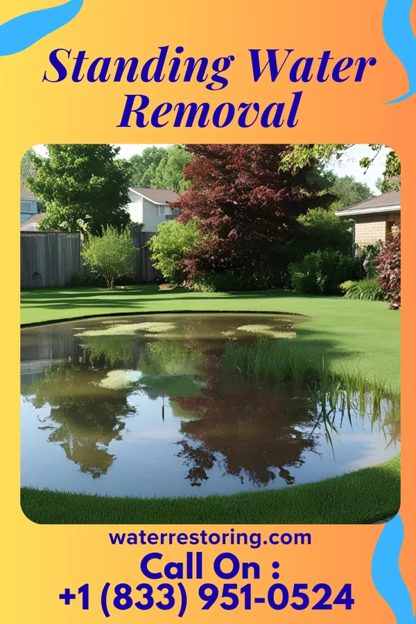 Standing Water Removal in Waverly, VA